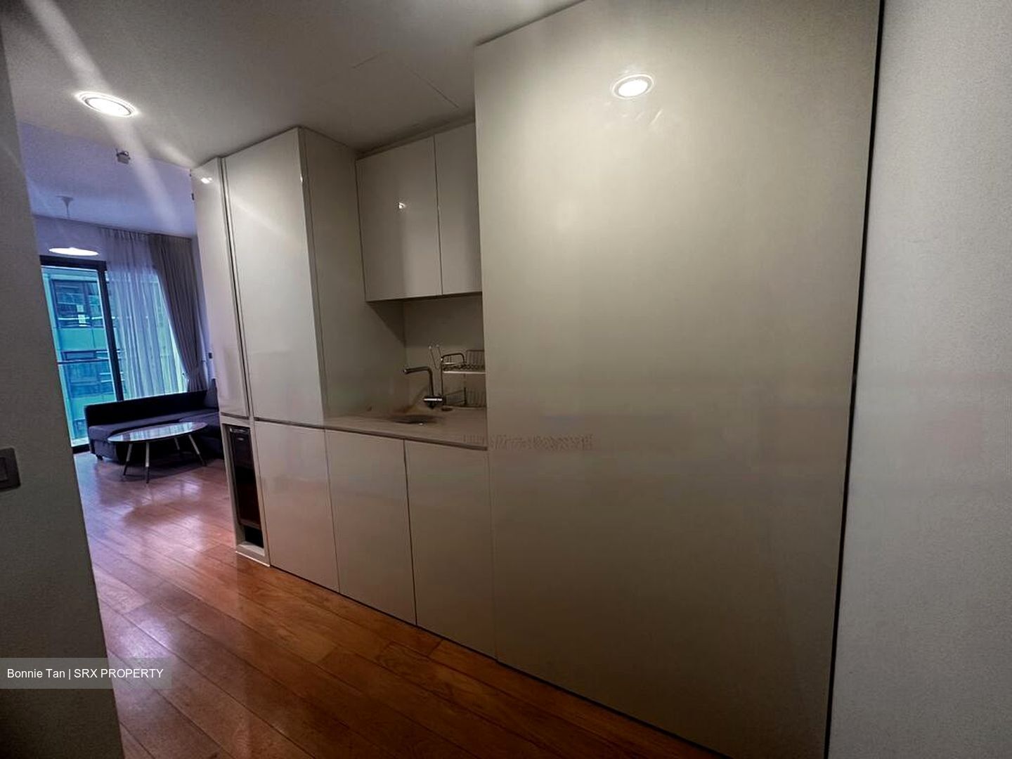 Skysuites@Anson (D2), Apartment #555790791